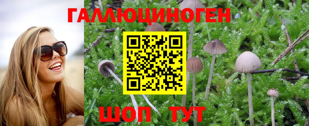 где можно купить   Галлюциногенные грибы MAGIC MUSHROOMS  Вход с VPN  Псилоцибиновые грибы прущие грибы  Нефтеюганск 